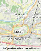 Assicurazioni,55100Lucca