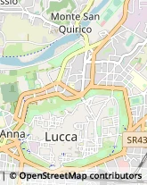 Parrucchieri,55100Lucca