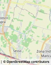 Via Torquato Tasso, 38,42023Cadelbosco di Sopra