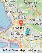 Frutta e Verdura - Dettaglio,34138Trieste