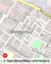 Piazza Giuseppe Garibaldi, 37/38,40059Medicina