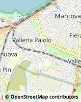 Viale Gino Vesci, 3,46100Mantova