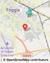 Agenzie Immobiliari,71121Foggia