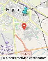 Feste - Organizzazione e Servizi,71121Foggia