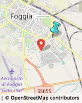 Comuni e Servizi Comunali,71122Foggia