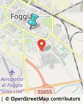 Agenzie di Animazione e Spettacolo,71122Foggia