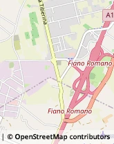 via Mola Saracena, snc,00065Fiano Romano