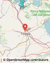 Fabbri,71011Foggia