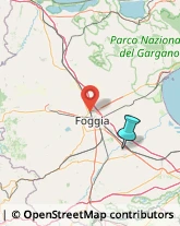 Fabbri,71041Foggia