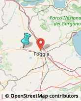 Fabbri,71036Foggia