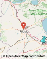 Fabbri,71042Foggia