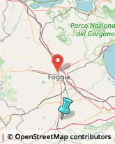 Fabbri,71022Foggia