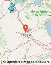 Fabbri,71010Foggia