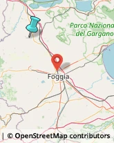 Fabbri,71017Foggia