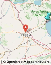 Fabbri,71043Foggia