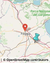 Fabbri,71045Foggia