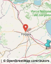 Fabbri,71042Foggia