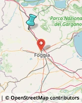 Fabbri,71016Foggia