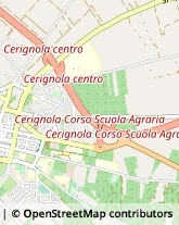 Via Monterosa, 12,71042Cerignola