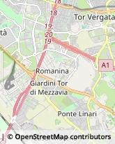 Via Enrico Ferri, 001,00173Roma