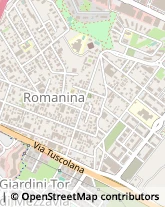 Via Antonio Sargenti, 54,00173Roma