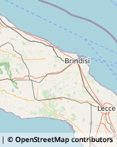 Case di Riposo e Istituti di Ricovero per Anziani,72025Brindisi