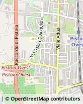 Viale Adua, 66,51100Pistoia