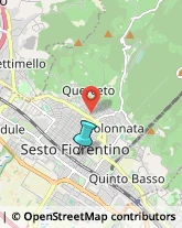 Articoli da Regalo - Dettaglio,50019Firenze