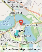 Trasporto Pubblico,46100Mantova