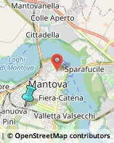 Trasporto Pubblico,46100Mantova