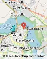 Trasporto Pubblico,46100Mantova