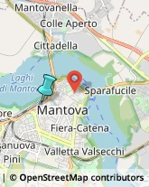 Trasporto Pubblico,46100Mantova