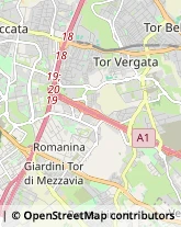 Via Libero Leonardi, 3,00173Roma