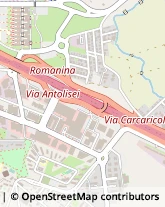 Via Francesco Antolisei, 6,00173Roma