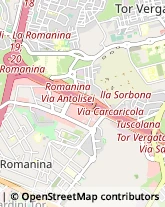 Franchising - Consulenza e Servizi,00173Roma