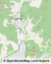 Via Luigi Pacini, 5,59100Prato