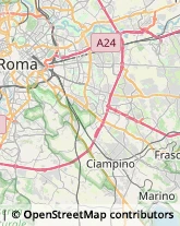 Via Francesco Ferraironi, 86/E,00177Roma