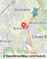 Palestre e Centri Fitness,20833Monza e Brianza