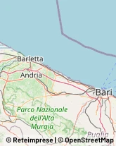 Liquori - Vendita,76121Barletta-Andria-Trani