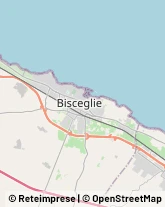 Strada Macchione, 18,76011Bisceglie