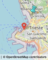 Sartorie,34135Trieste