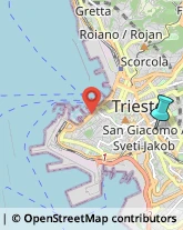 Sartorie,34138Trieste