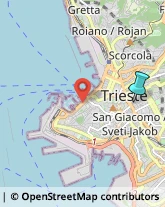 Sartorie,34129Trieste