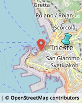 Sartorie,34125Trieste