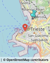 Trasporto Pubblico,34135Trieste