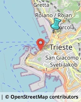 Trasporto Pubblico,34132Trieste