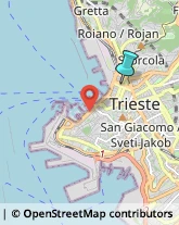 Trasporto Pubblico,34132Trieste