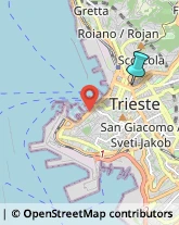 Trasporto Pubblico,34133Trieste