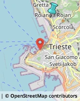 Sartorie,34135Trieste