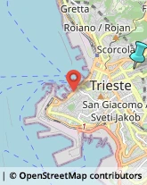 Sartorie,34126Trieste